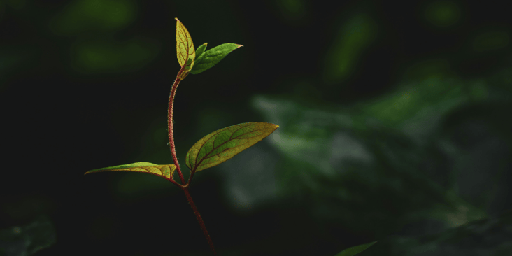Starting small with HOP to introduce new approaches to improve work